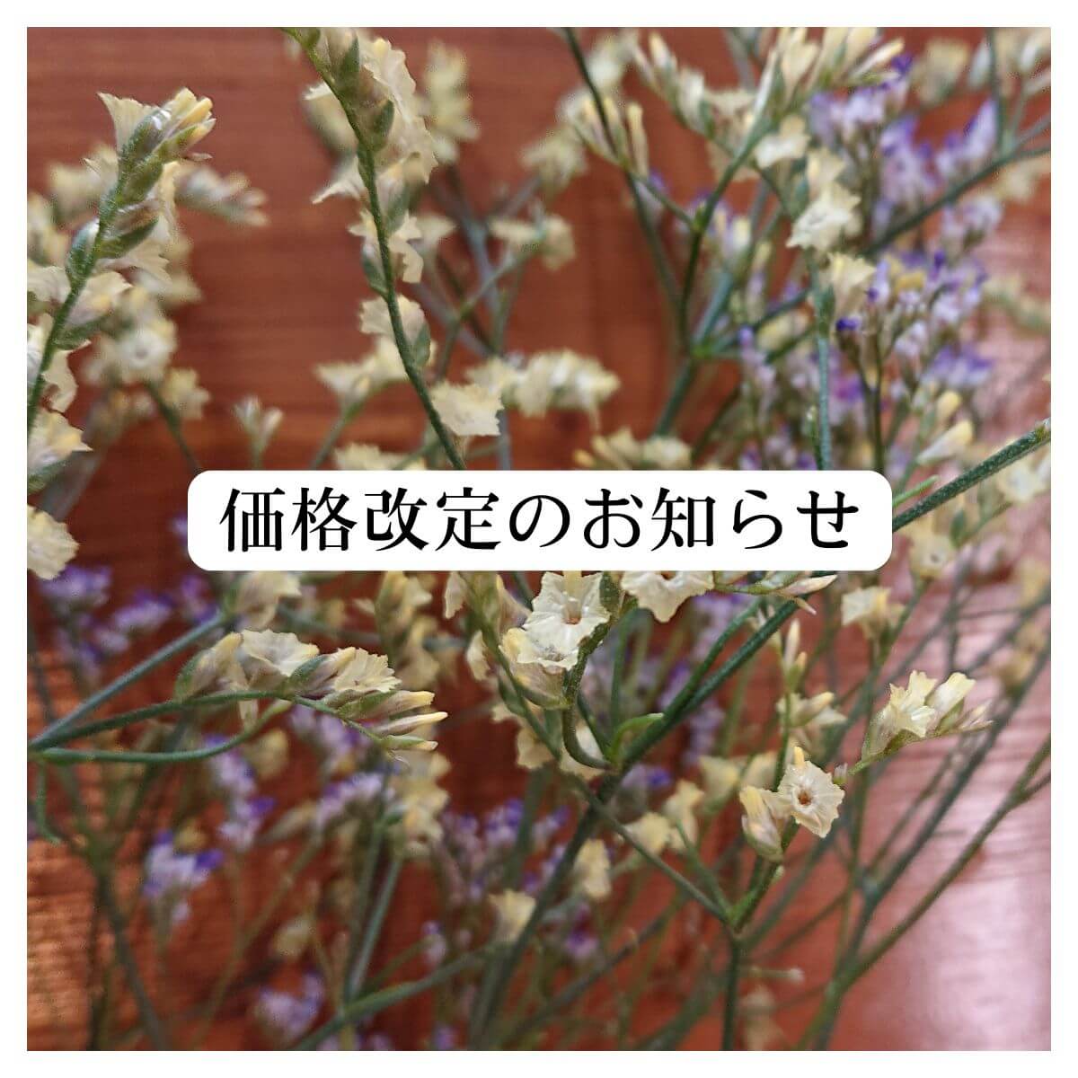 価格改定のお知らせ（2026年2月）